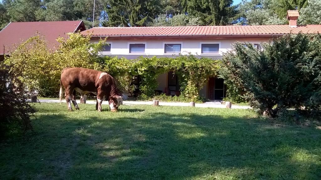 Orsegi Patakparti Alpaka Panzio Bed & Breakfast Kisrakos Dış mekan fotoğraf