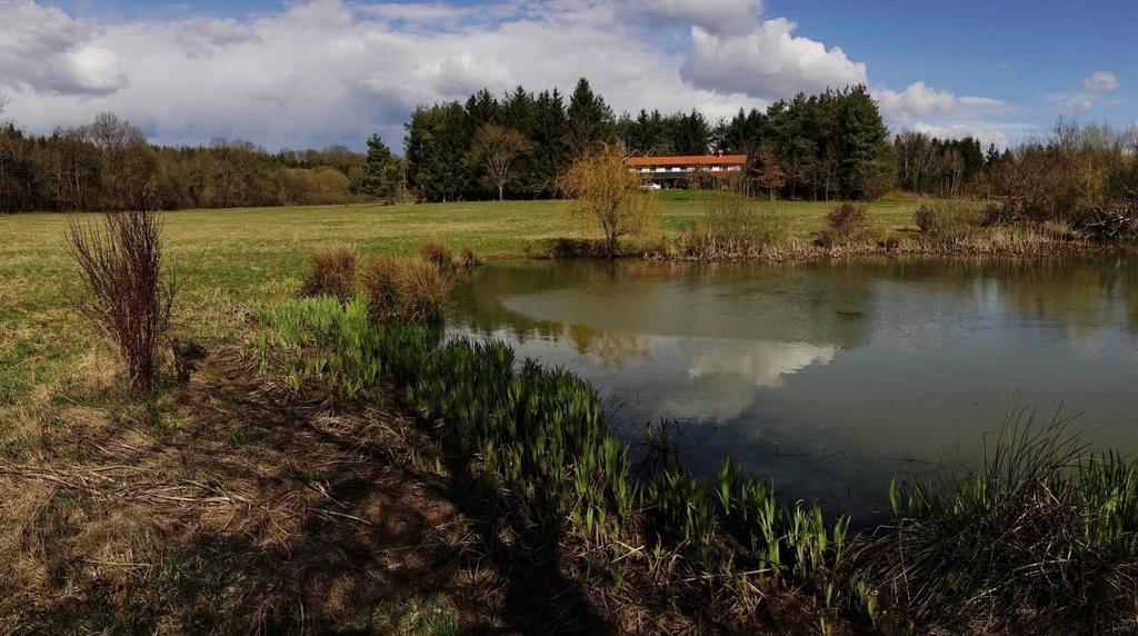 Orsegi Patakparti Alpaka Panzio Bed & Breakfast Kisrakos Dış mekan fotoğraf