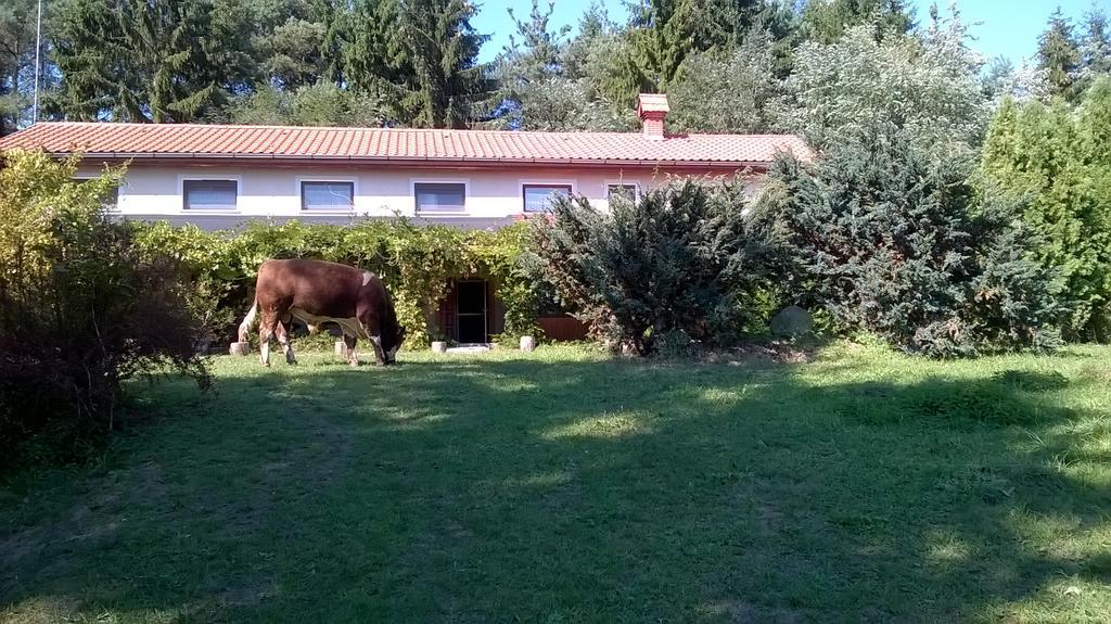 Orsegi Patakparti Alpaka Panzio Bed & Breakfast Kisrakos Dış mekan fotoğraf