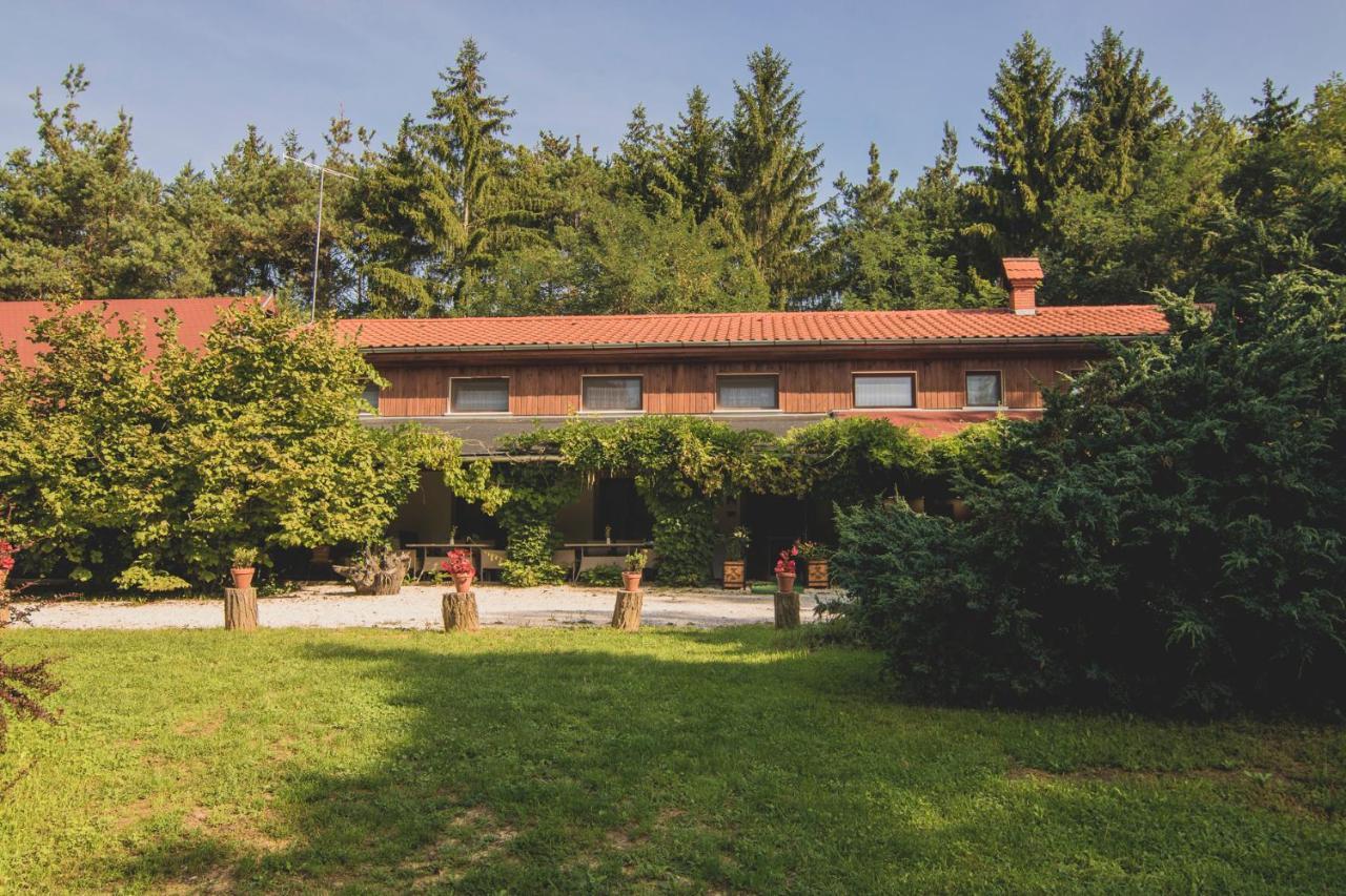 Orsegi Patakparti Alpaka Panzio Bed & Breakfast Kisrakos Dış mekan fotoğraf